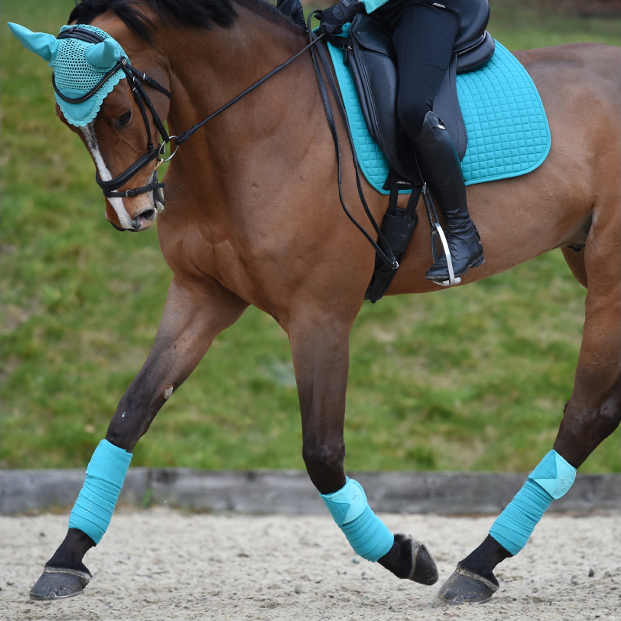 Weatherbeeta Prime Dressursattelauflage 1000745 - Türkis